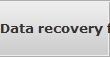 Data recovery for Hilo data